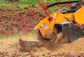Best Organic Lawn Care Solutions  in Mount Vernon, GA