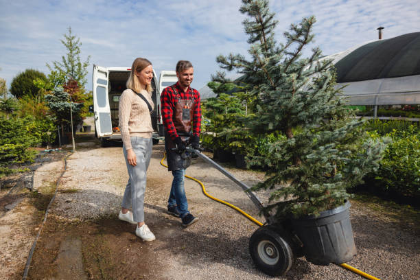 Best Lawn Irrigation Installation and Maintenance  in Mount Vernon, GA